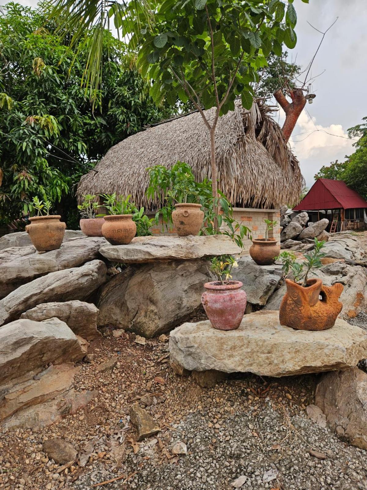 Las Cabanas Del Tio Lalo Rincon de Guayabitos Dış mekan fotoğraf